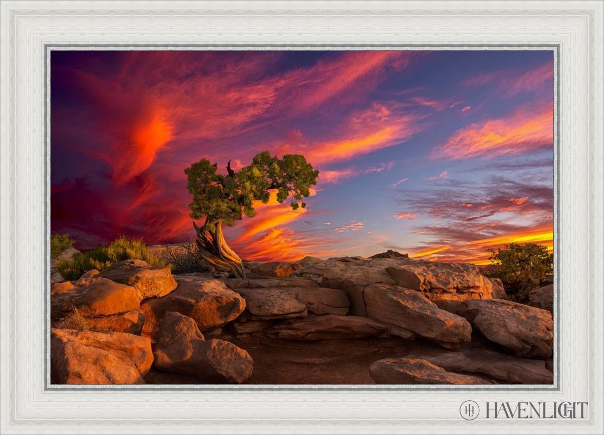 Moab Morning Open Edition Canvas / 30 X 20 White 35 3/4 25 Art