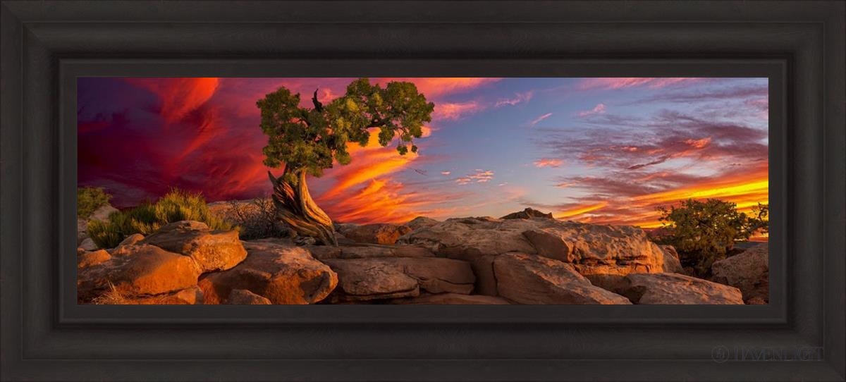 Moab Morning Open Edition Canvas / 36 X 12 Brown 43 3/4 19 Art