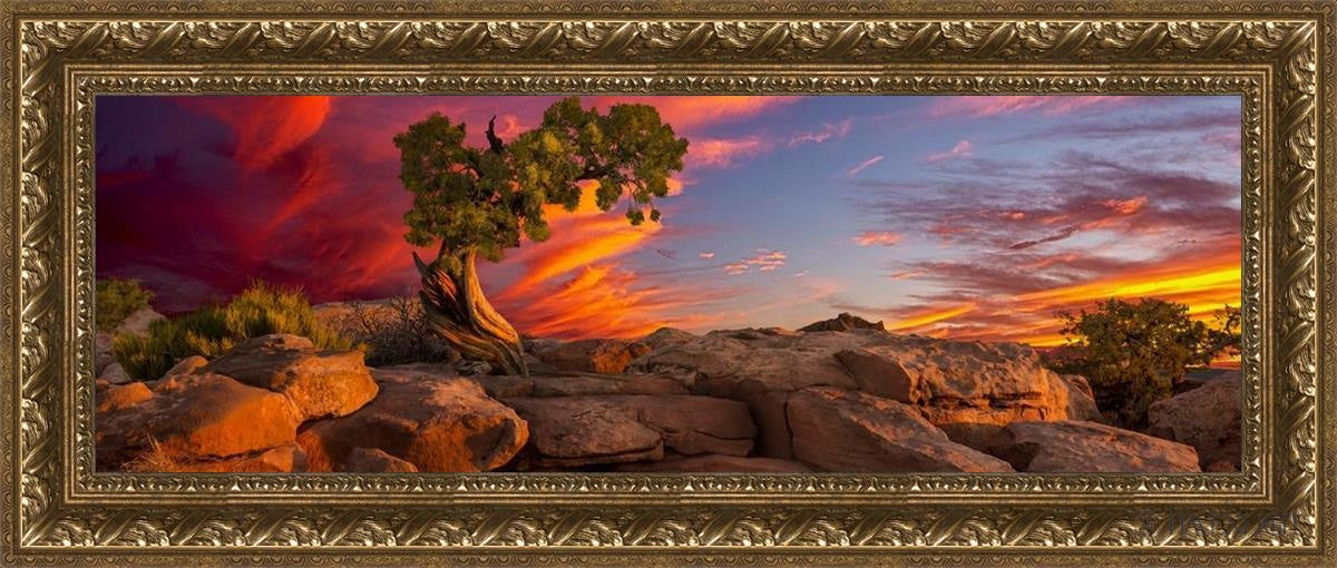 Moab Morning Open Edition Canvas / 36 X 12 Gold 41 3/4 17 Art