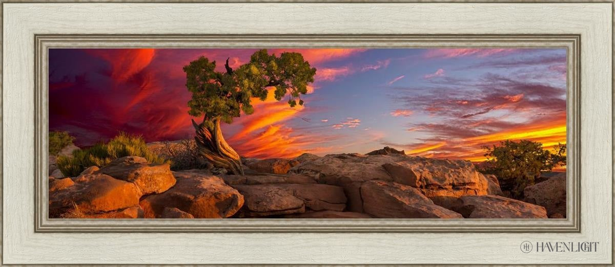 Moab Morning Open Edition Canvas / 36 X 12 Ivory 42 1/2 18 Art