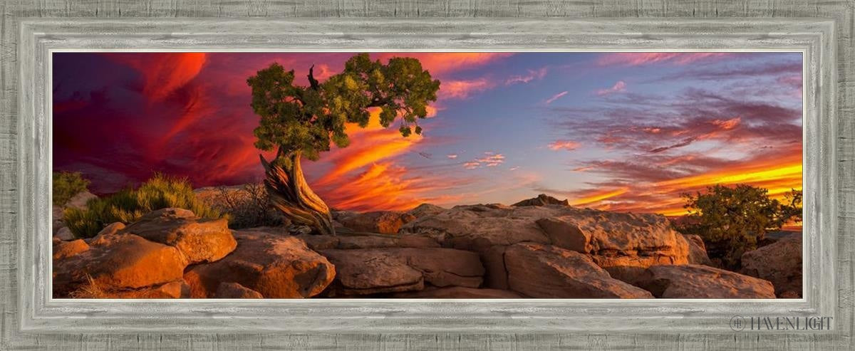 Moab Morning Open Edition Canvas / 36 X 12 Silver 40 3/4 16 Art