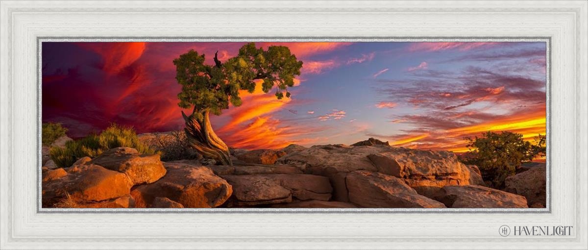 Moab Morning Open Edition Canvas / 36 X 12 White 41 3/4 17 Art