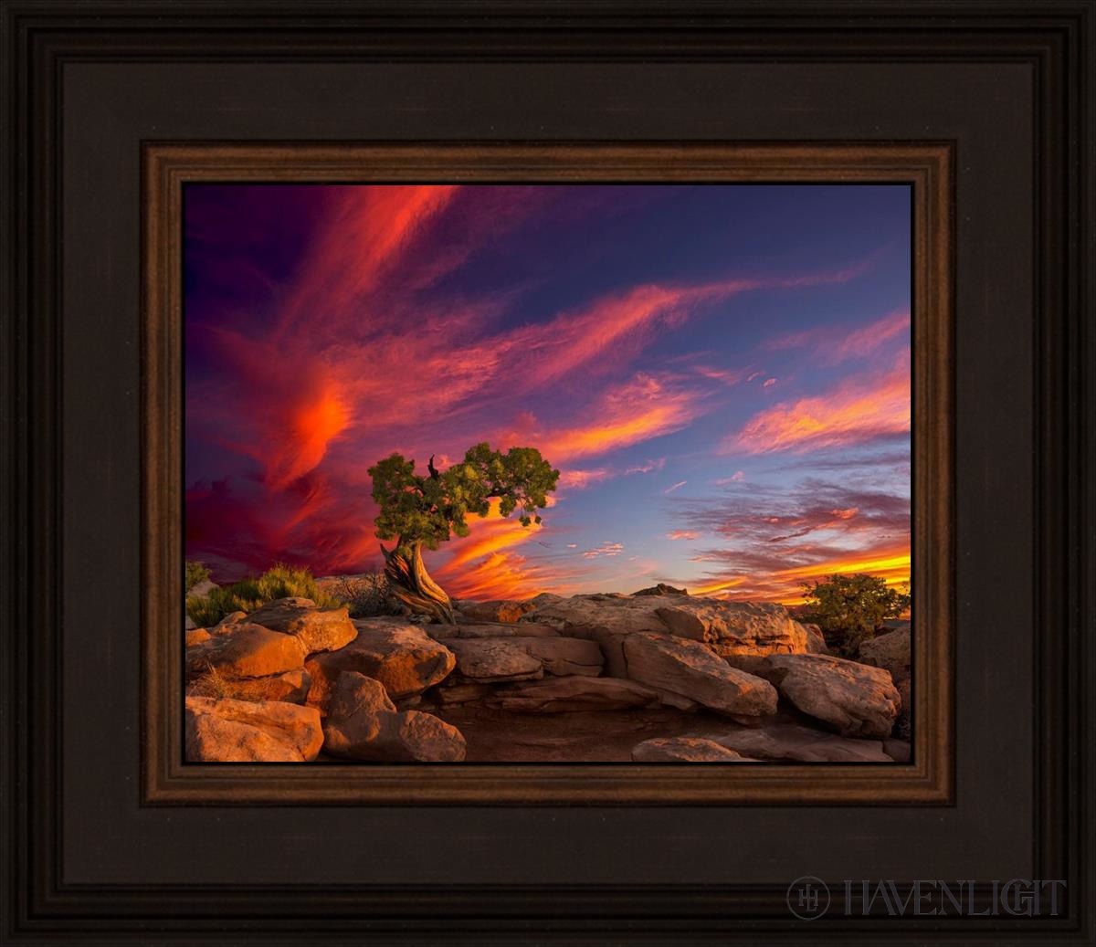 Moab Morning Open Edition Print / 10 X 8 Brown 14 3/4 12 Art