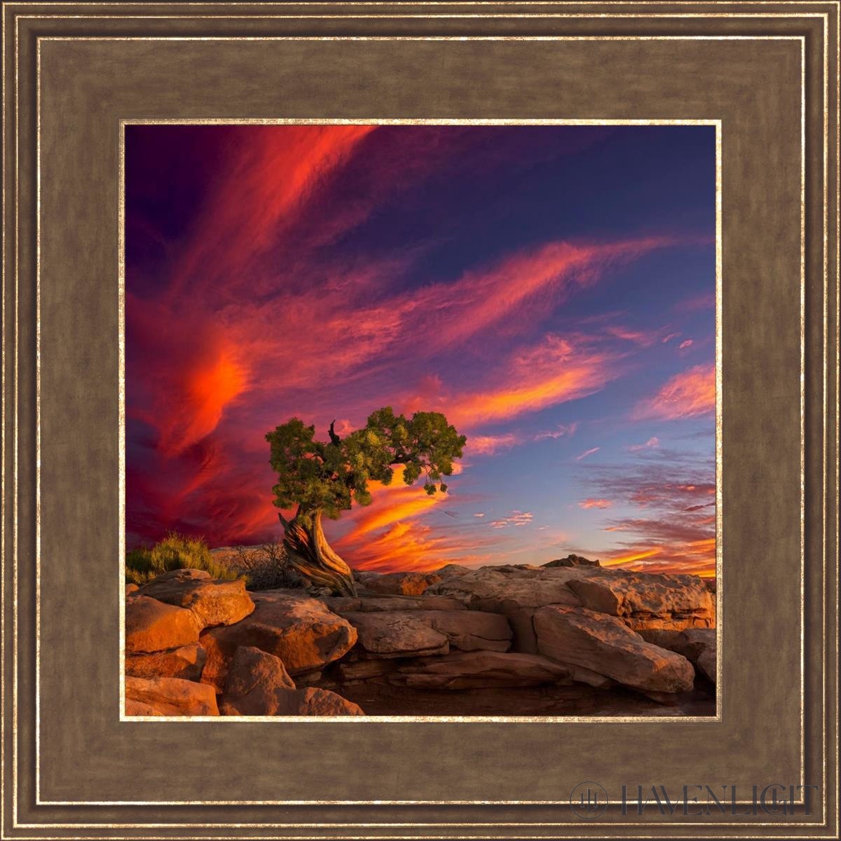 Moab Morning Open Edition Print / 12 X Gold 16 3/4 Art