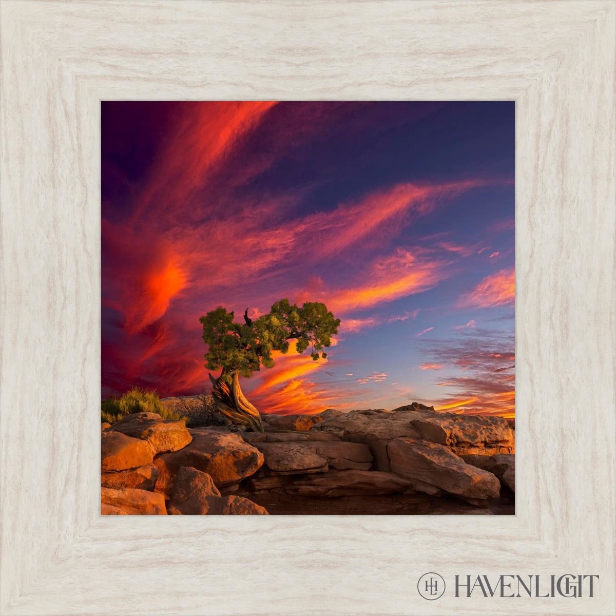 Moab Morning Open Edition Print / 12 X Ivory 17 1/2 Art