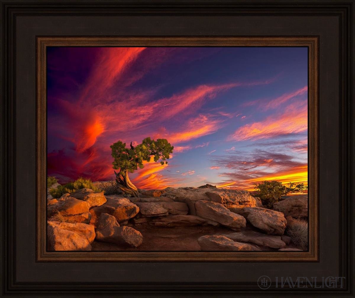 Moab Morning Open Edition Print / 14 X 11 Brown 18 3/4 15 Art