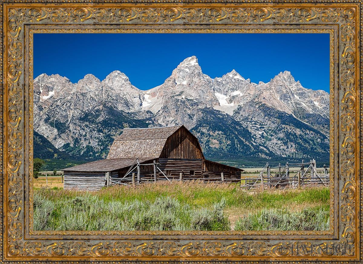 Moulton Barn Near Teton National Park Wyoming Open Edition Canvas / 36 X 24 Gold 43 3/4 31 Art