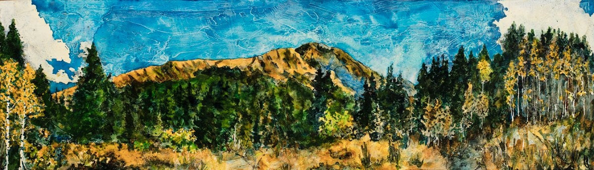 Mountain Meadow Open Edition Canvas / 28 X 8 Rolled In Tube Art