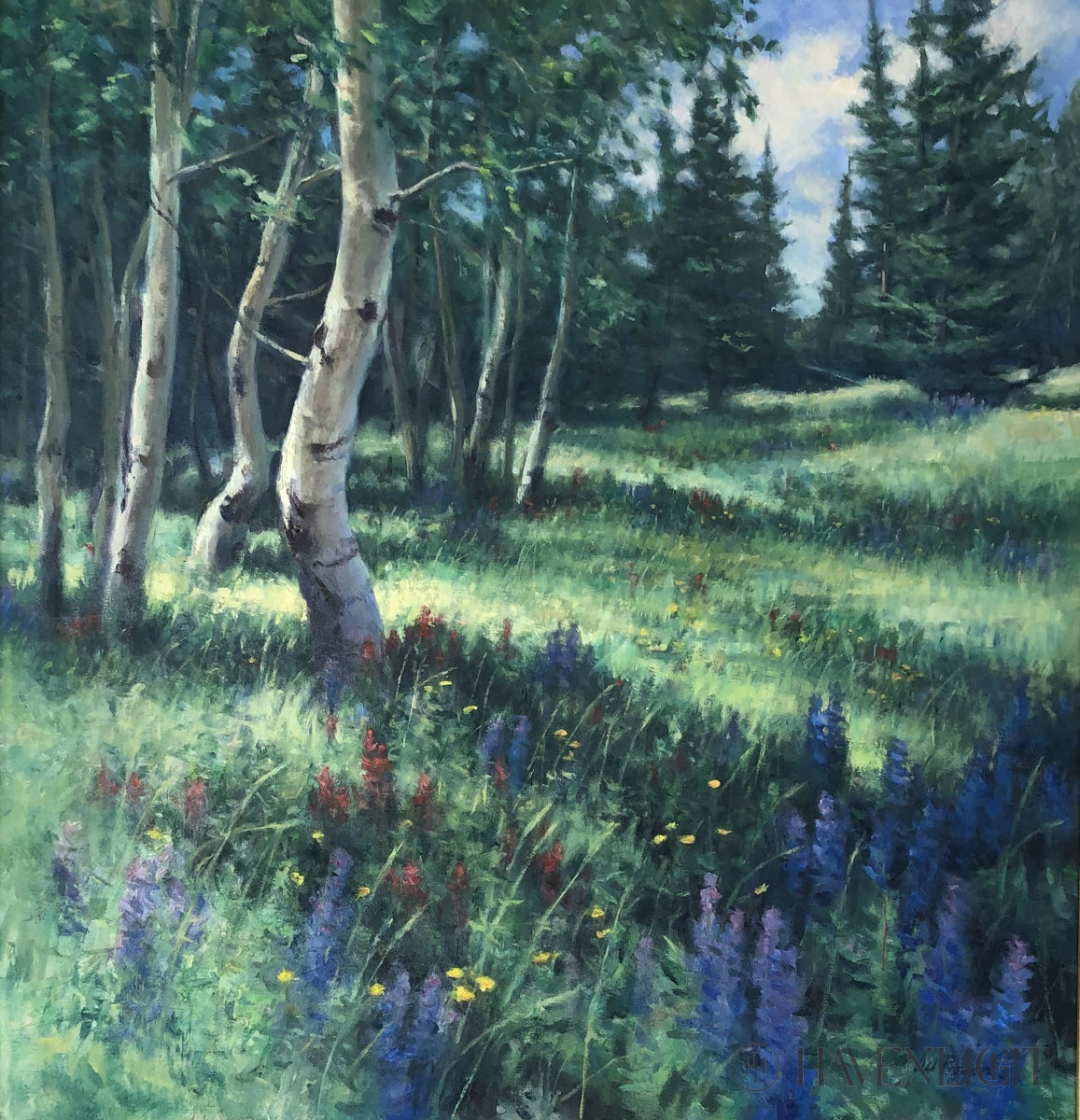 Mountain Pasture 36" x 36" Original Painting