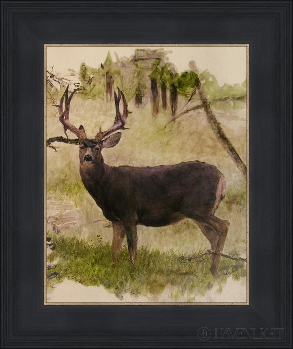 Mule Deer Open Edition Print / 11 X 14 Black 15 3/4 18 Art