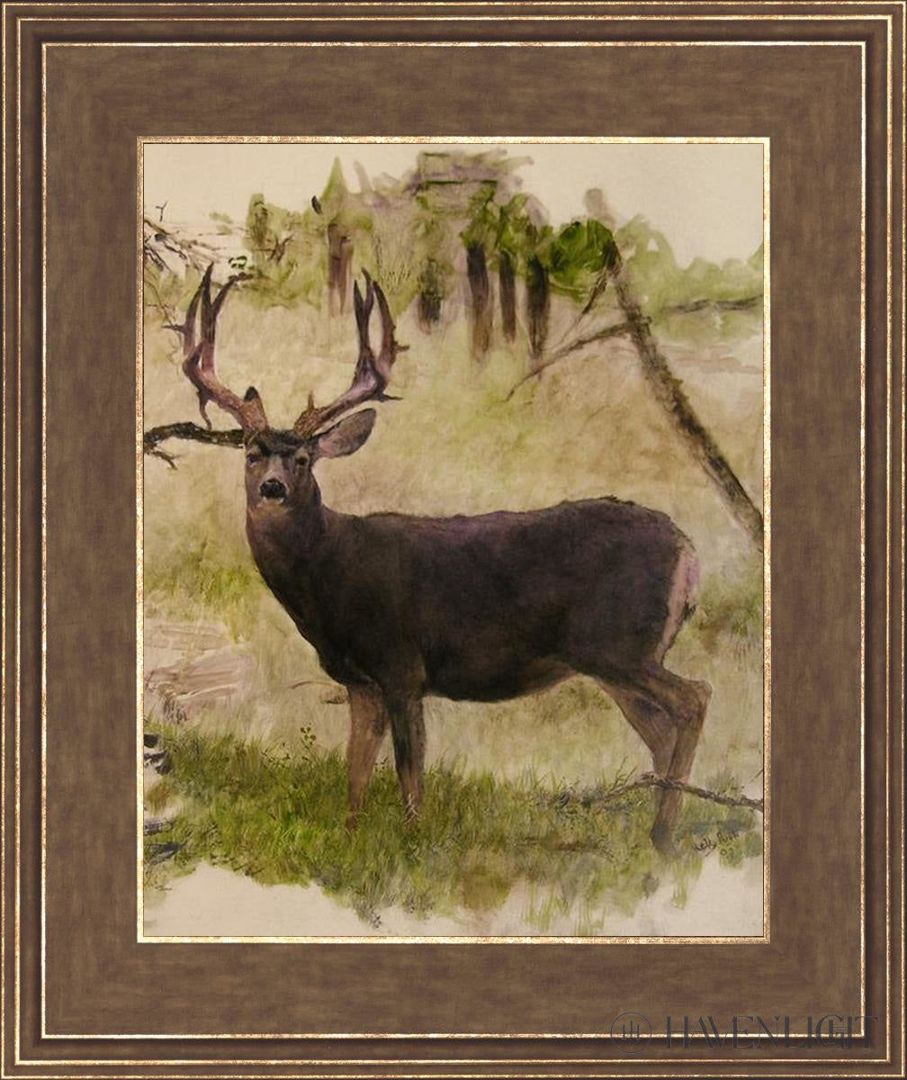 Mule Deer Open Edition Print / 11 X 14 Gold 15 3/4 18 Art