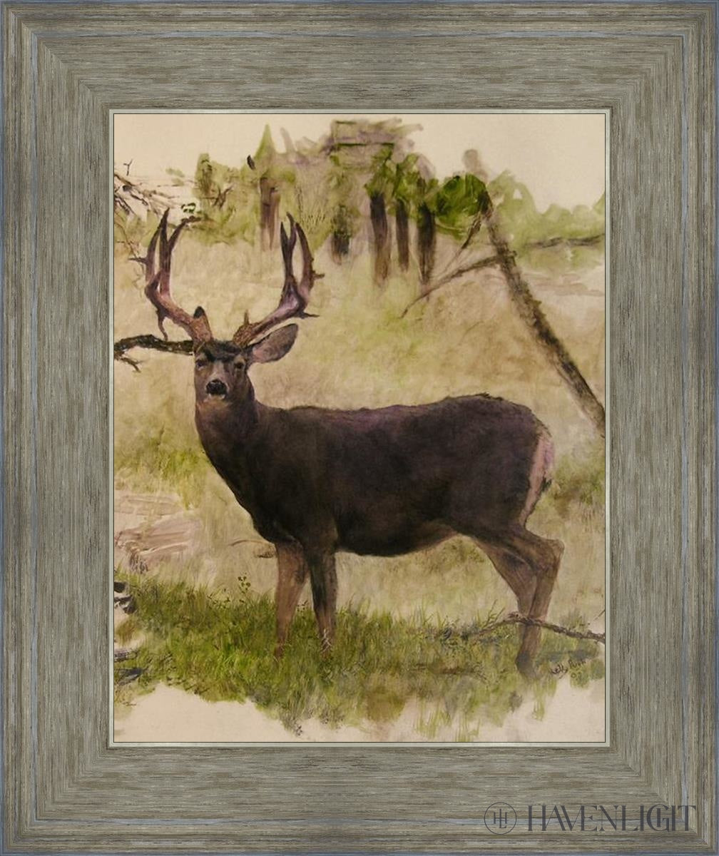 Mule Deer Open Edition Print / 11 X 14 Gray 15 3/4 18 Art