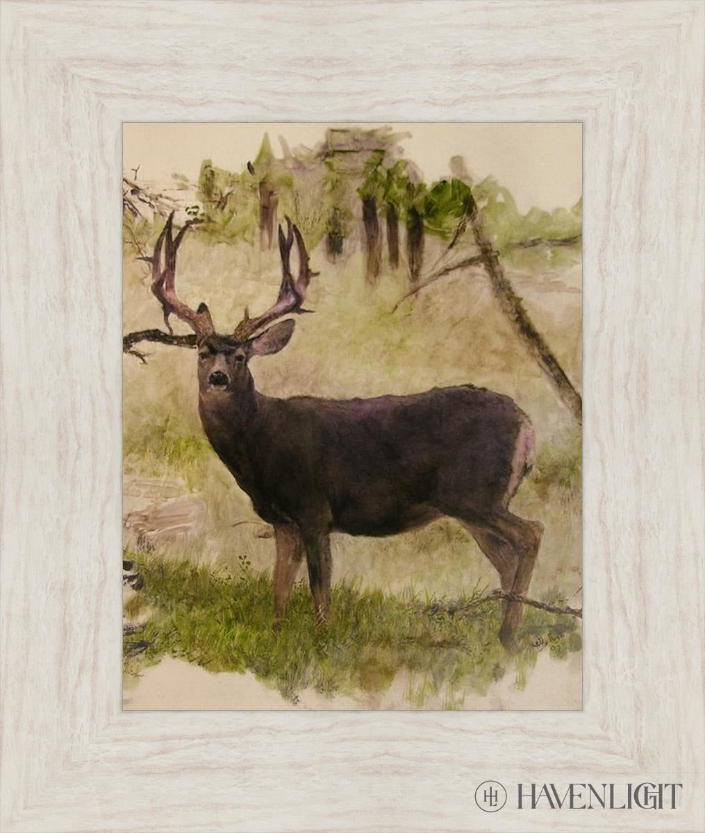 Mule Deer Open Edition Print / 11 X 14 Ivory 16 1/2 19 Art