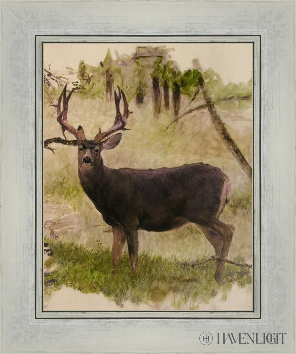 Mule Deer Open Edition Print / 11 X 14 Silver 15 1/4 18 Art