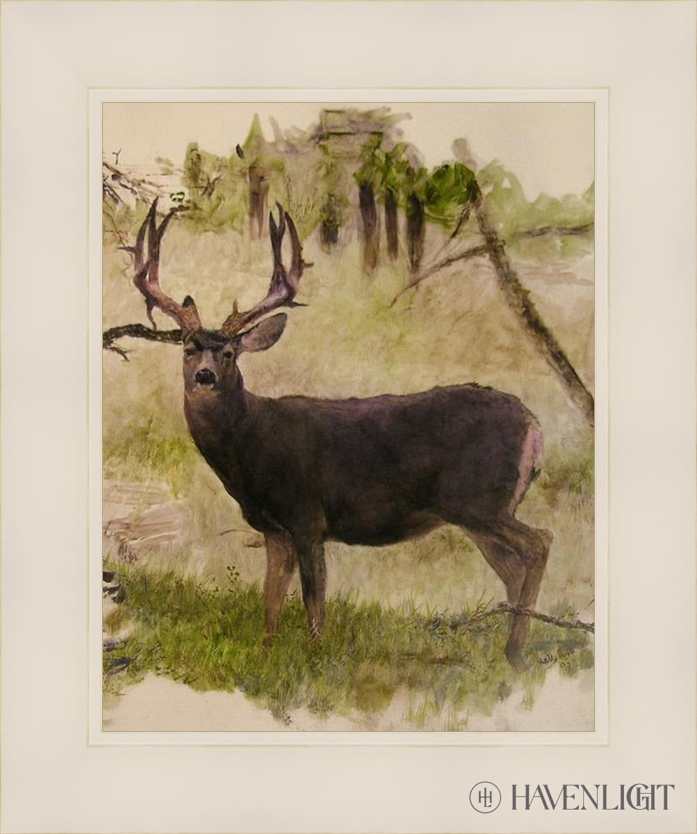 Mule Deer Open Edition Print / 11 X 14 White 15 1/4 18 Art
