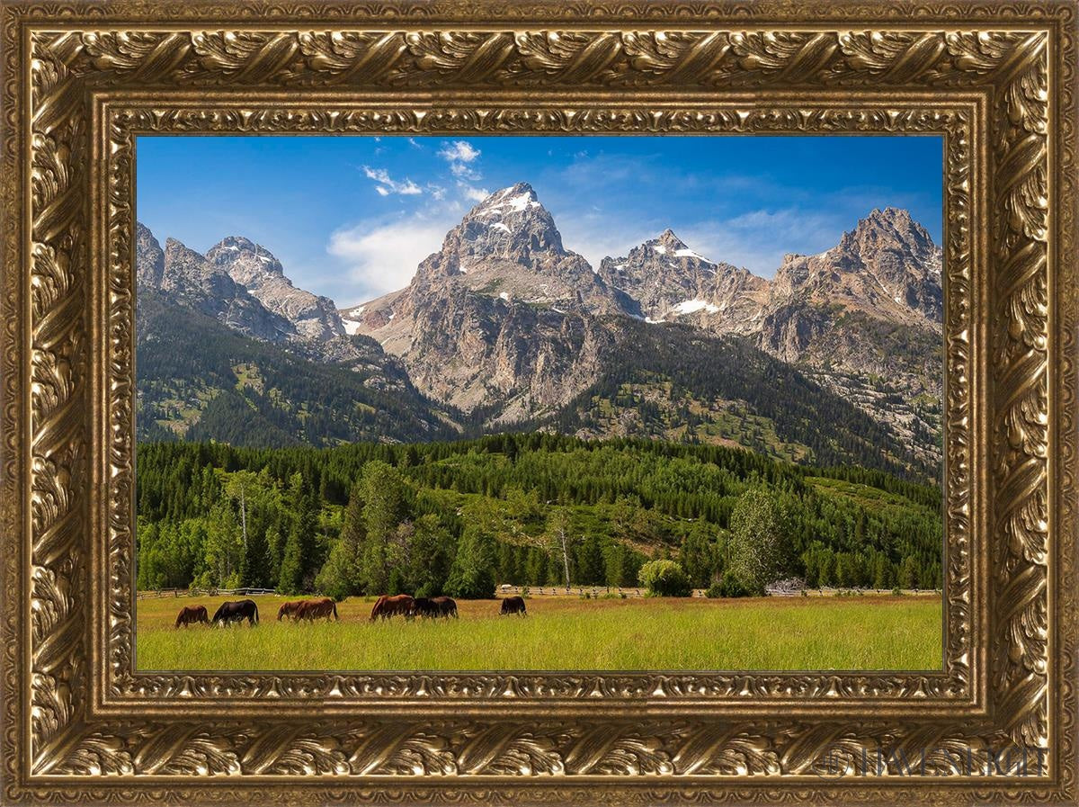 Panorama Of Grand Teton Mountain Range Wyoming Open Edition Canvas / 18 X 12 Gold 23 3/4 17 Art