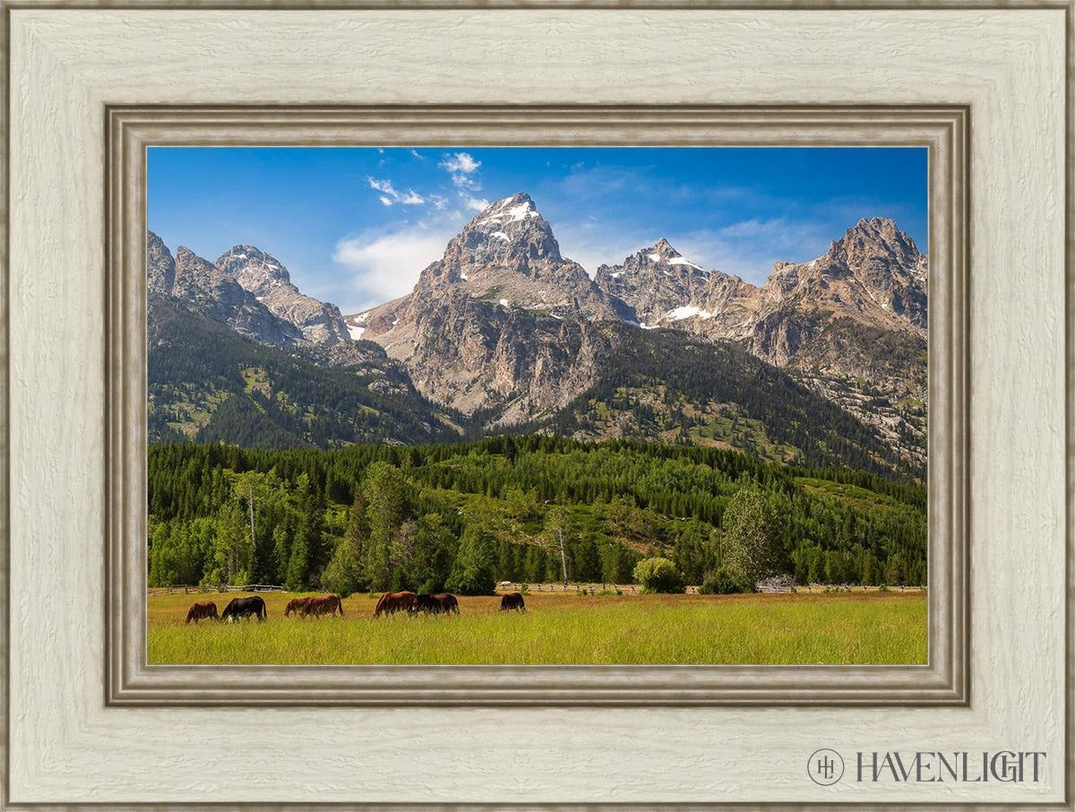 Panorama Of Grand Teton Mountain Range Wyoming Open Edition Canvas / 18 X 12 Ivory 24 1/2 Art