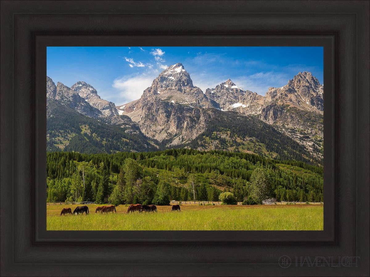 Panorama Of Grand Teton Mountain Range Wyoming Open Edition Canvas / 24 X 16 Brown 31 3/4 23 Art