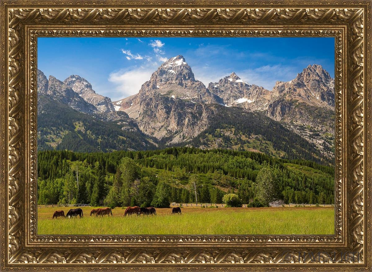 Panorama Of Grand Teton Mountain Range Wyoming Open Edition Canvas / 24 X 16 Gold 29 3/4 21 Art