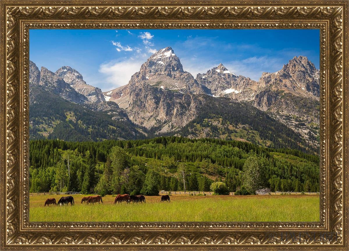 Panorama Of Grand Teton Mountain Range Wyoming Open Edition Canvas / 30 X 20 Gold 35 3/4 25 Art