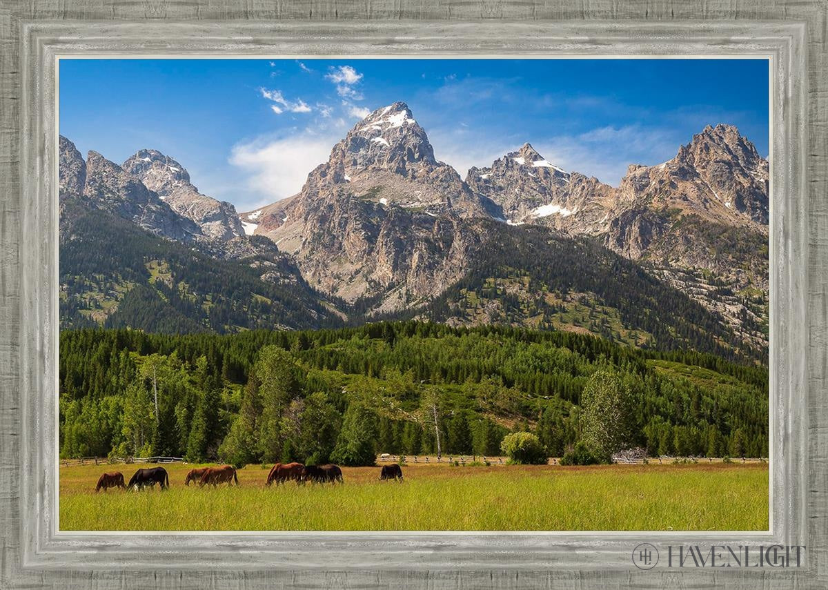 Panorama Of Grand Teton Mountain Range Wyoming Open Edition Canvas / 30 X 20 Silver 34 3/4 24 Art