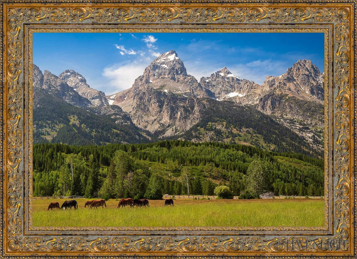 Panorama Of Grand Teton Mountain Range Wyoming Open Edition Canvas / 36 X 24 Gold 43 3/4 31 Art