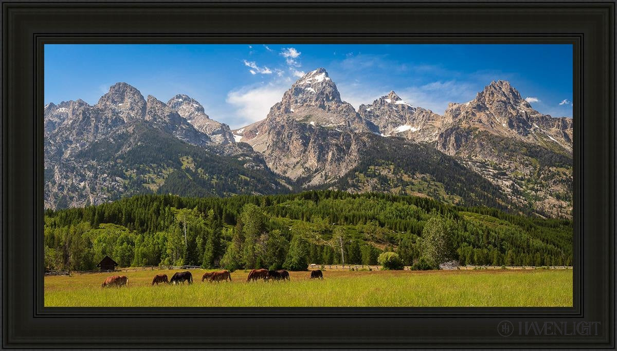 Panorama Of Grand Teton Mountain Range Wyoming Open Edition Canvas / 48 X 24 Black 55 3/4 31 Art