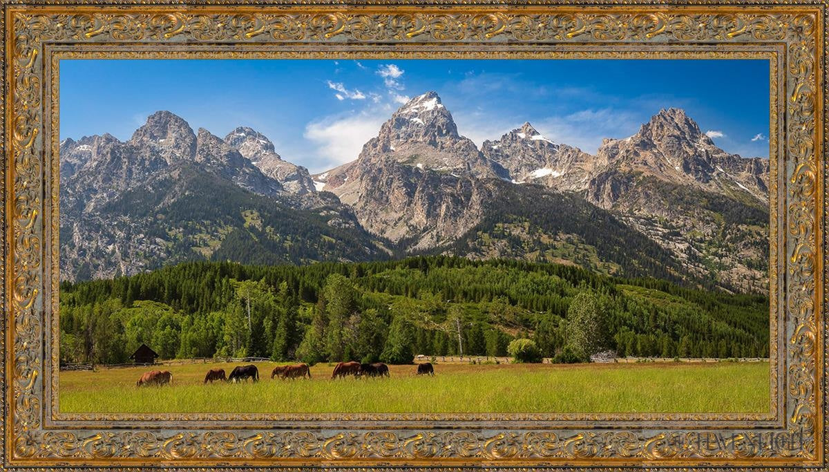Panorama Of Grand Teton Mountain Range Wyoming Open Edition Canvas / 48 X 24 Gold 55 3/4 31 Art