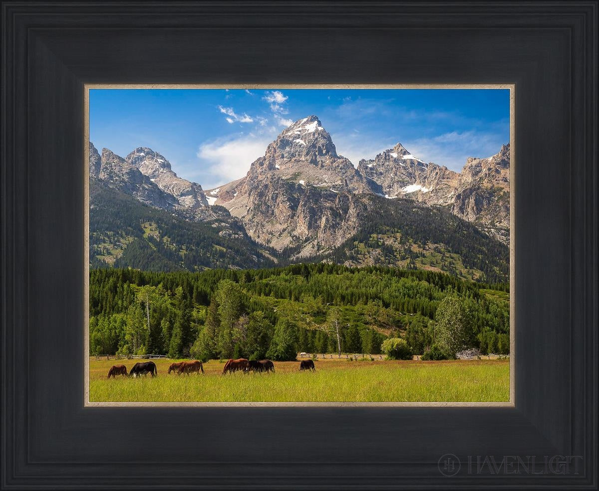 Panorama Of Grand Teton Mountain Range Wyoming Open Edition Print / 12 X 9 Black 16 3/4 13 Art