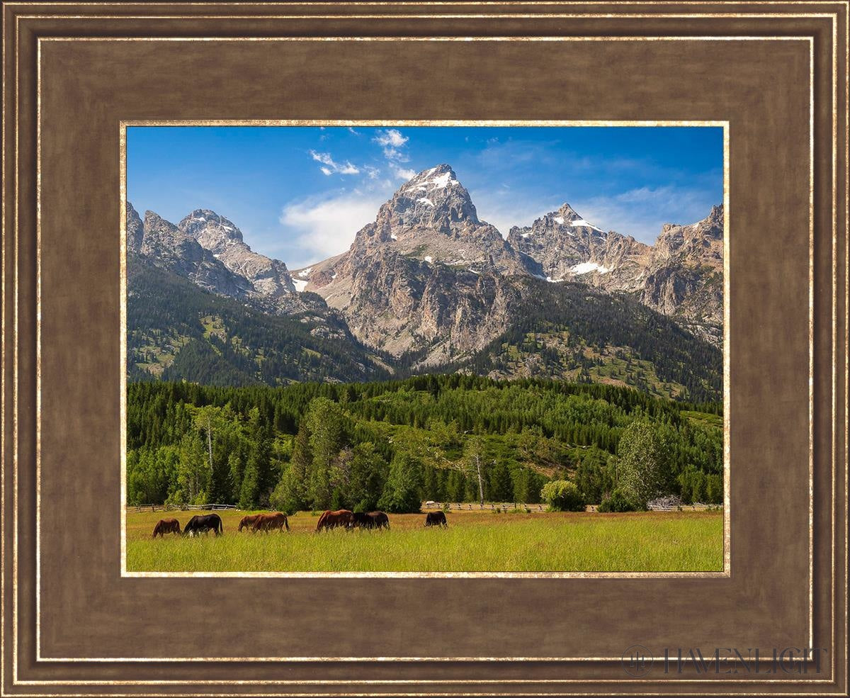 Panorama Of Grand Teton Mountain Range Wyoming Open Edition Print / 12 X 9 Gold 16 3/4 13 Art
