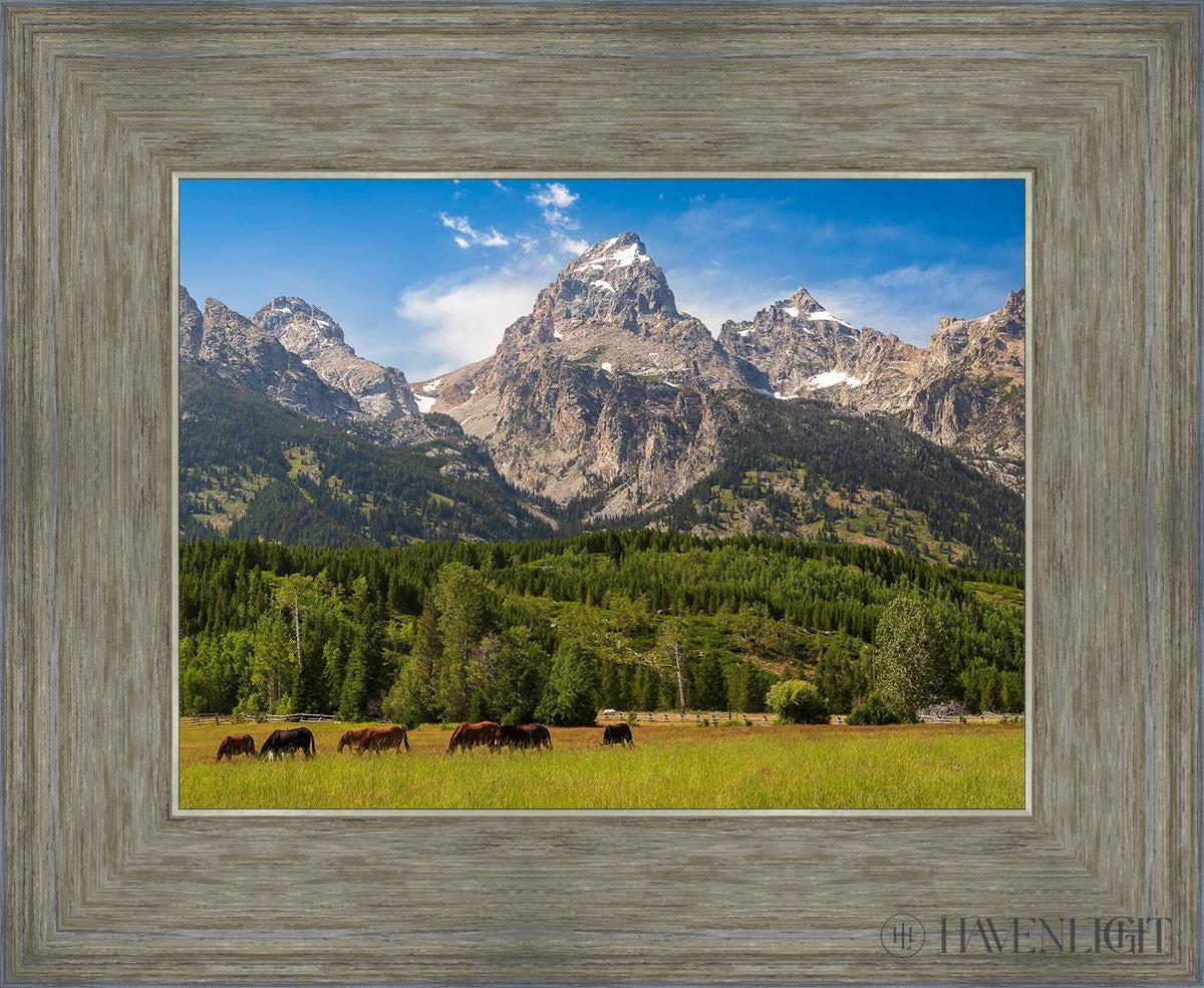 Panorama Of Grand Teton Mountain Range Wyoming Open Edition Print / 12 X 9 Gray 16 3/4 13 Art