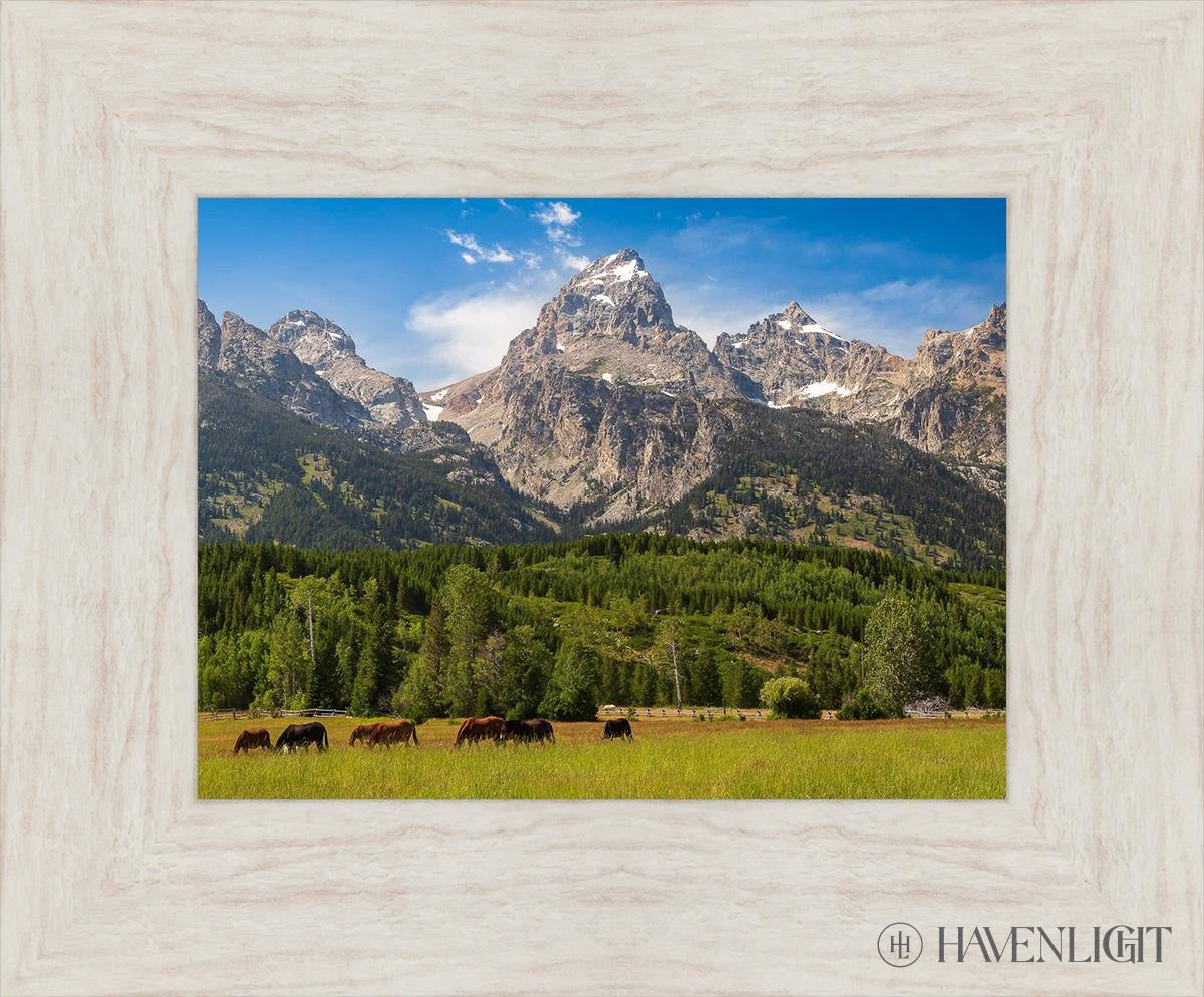 Panorama Of Grand Teton Mountain Range Wyoming Open Edition Print / 12 X 9 Ivory 17 1/2 14 Art