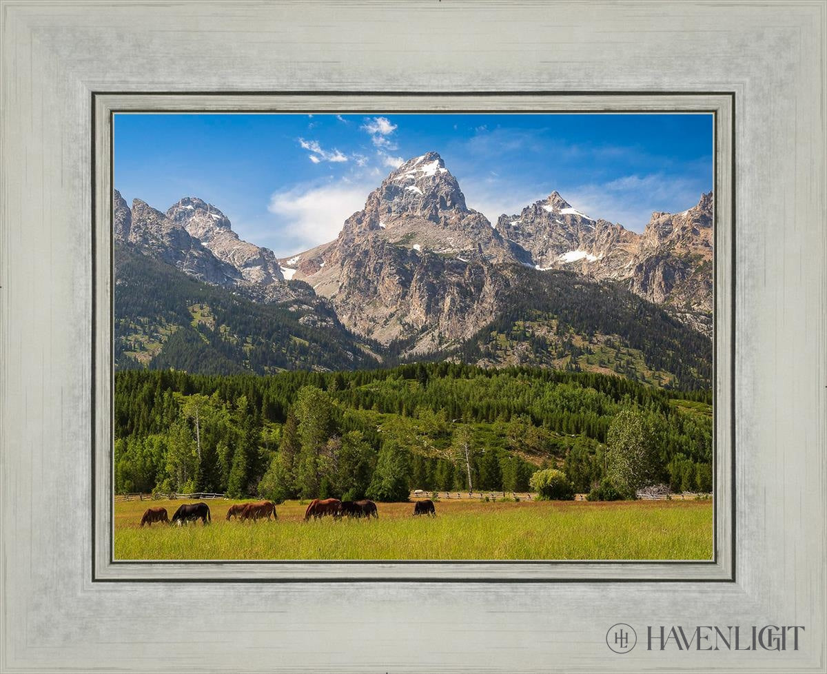Panorama Of Grand Teton Mountain Range Wyoming Open Edition Print / 12 X 9 Silver 16 1/4 13 Art