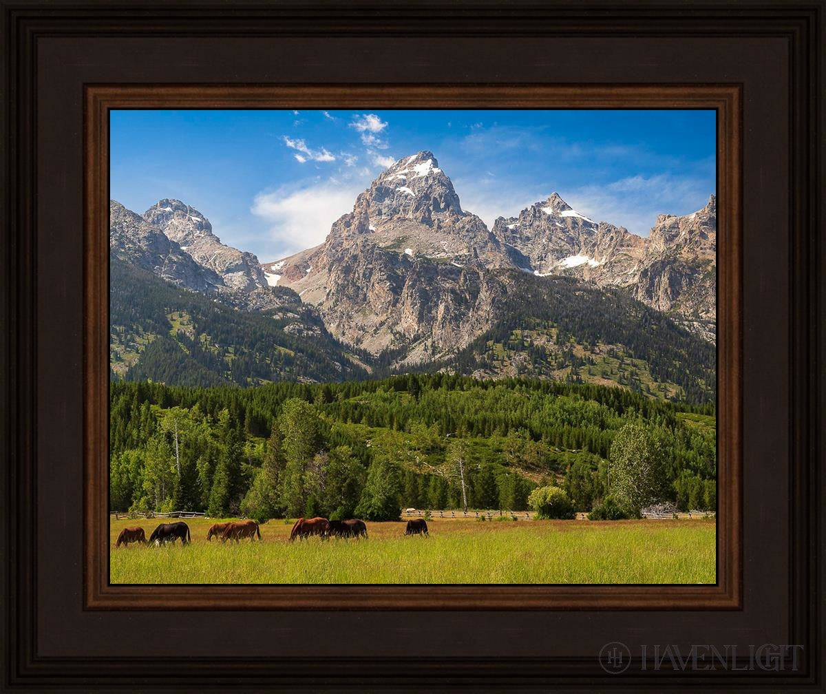 Panorama Of Grand Teton Mountain Range Wyoming Open Edition Print / 14 X 11 Brown 18 3/4 15 Art