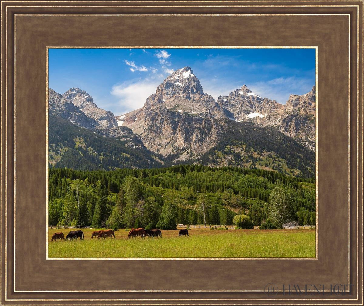 Panorama Of Grand Teton Mountain Range Wyoming Open Edition Print / 14 X 11 Gold 18 3/4 15 Art