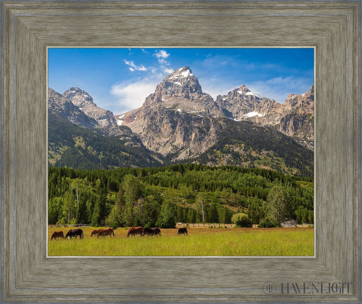 Panorama Of Grand Teton Mountain Range Wyoming Open Edition Print / 14 X 11 Gray 18 3/4 15 Art