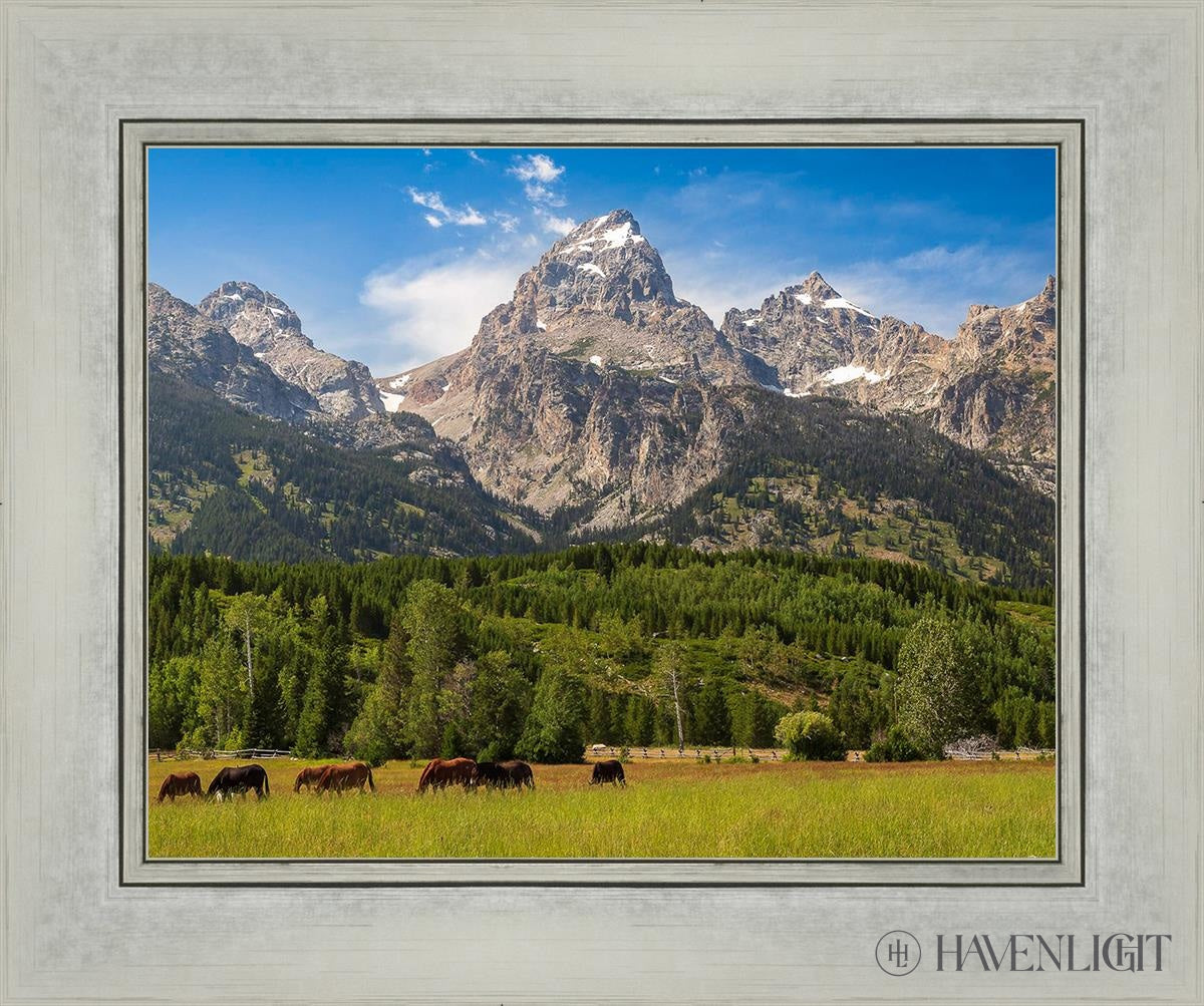 Panorama Of Grand Teton Mountain Range Wyoming Open Edition Print / 14 X 11 Silver 18 1/4 15 Art