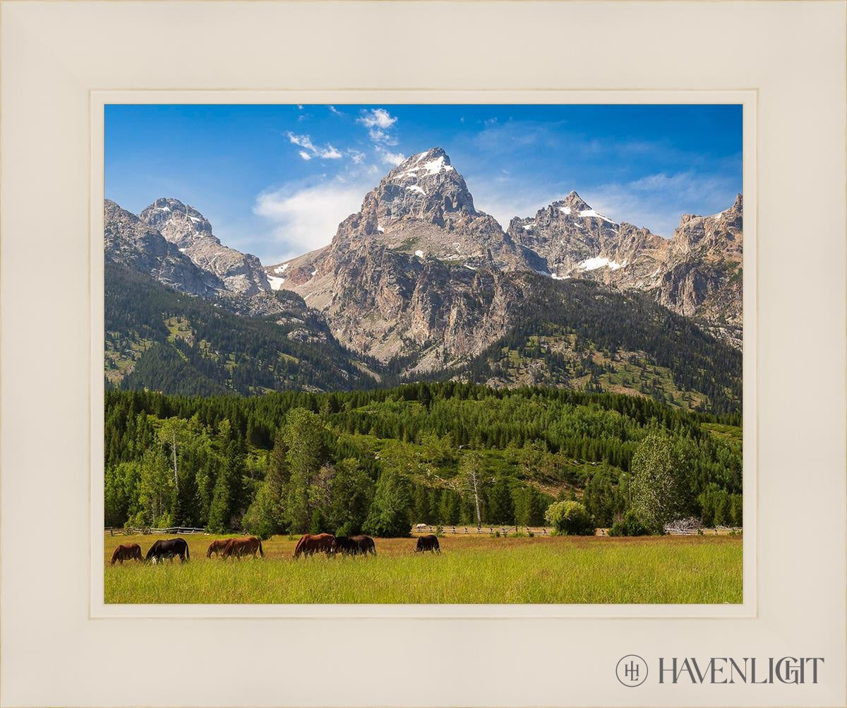 Panorama Of Grand Teton Mountain Range Wyoming Open Edition Print / 14 X 11 White 18 1/4 15 Art