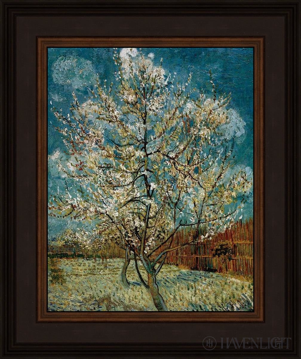 Peach Tree In Blossom Open Edition Print / 11 X 14 Brown 15 3/4 18 Art