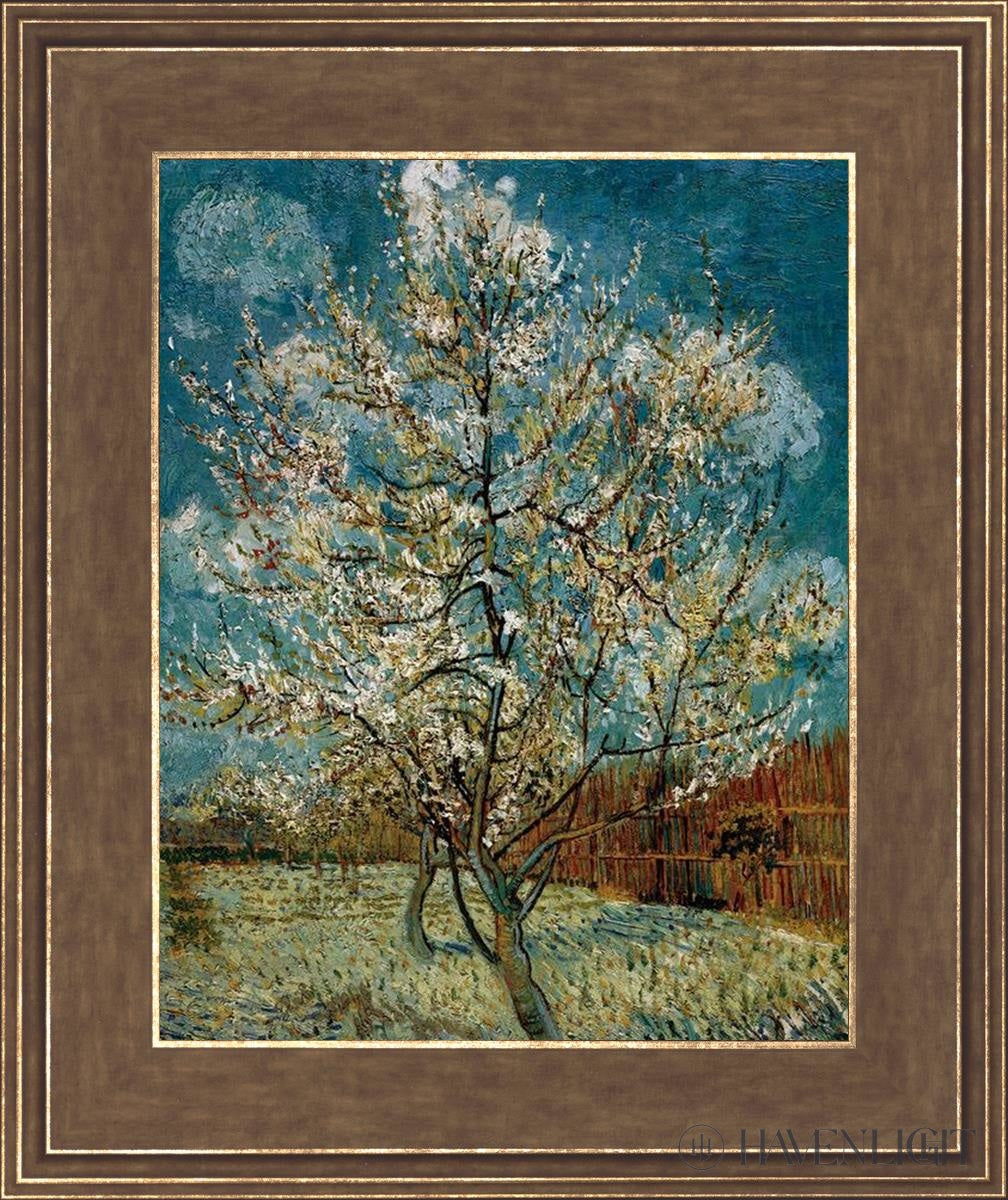 Peach Tree In Blossom Open Edition Print / 11 X 14 Gold 15 3/4 18 Art
