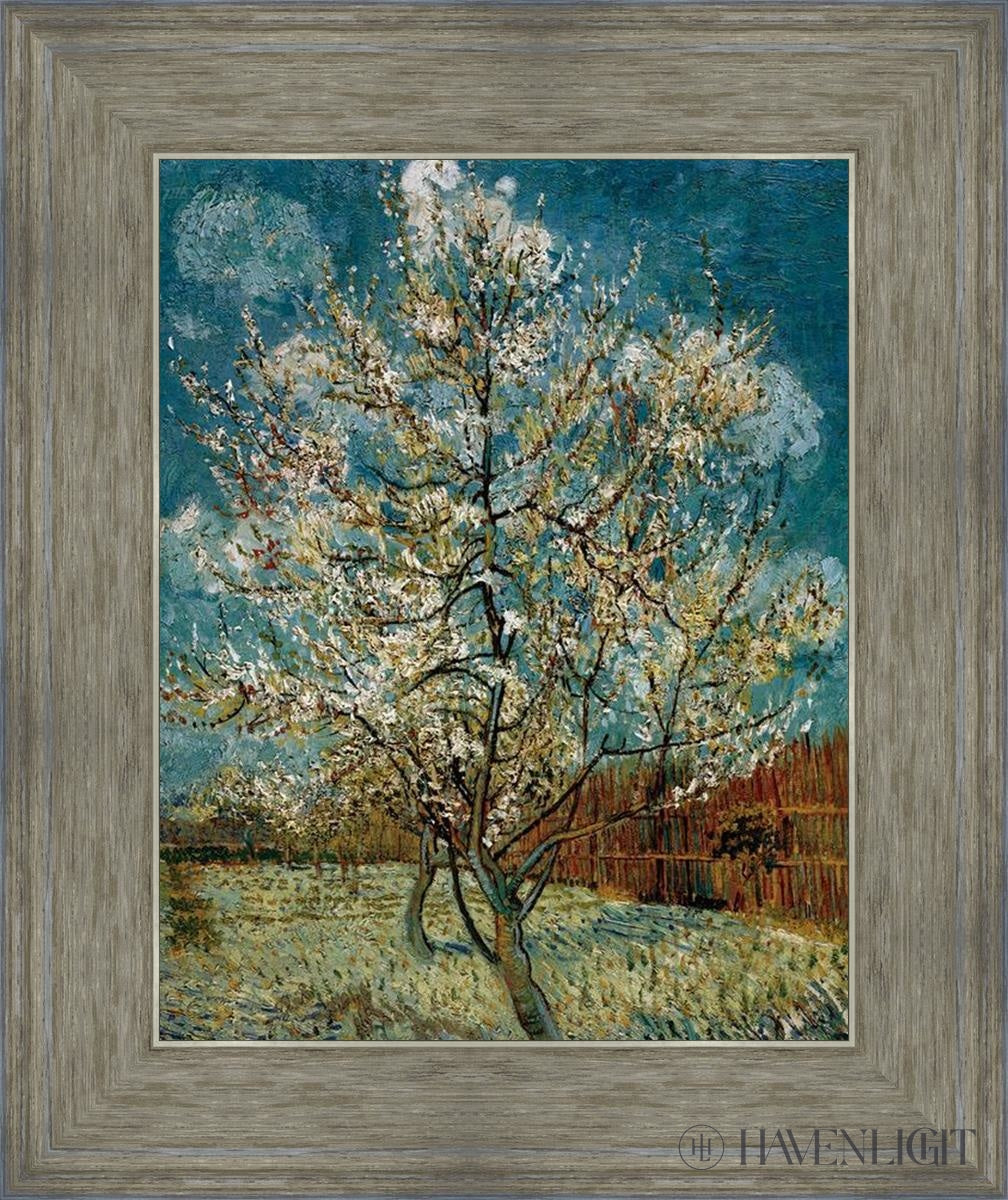 Peach Tree In Blossom Open Edition Print / 11 X 14 Gray 15 3/4 18 Art