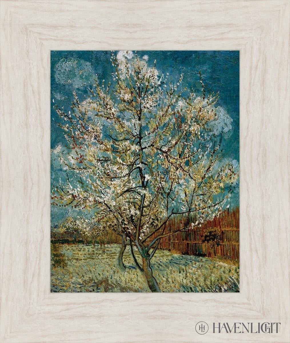 Peach Tree In Blossom Open Edition Print / 11 X 14 Ivory 16 1/2 19 Art
