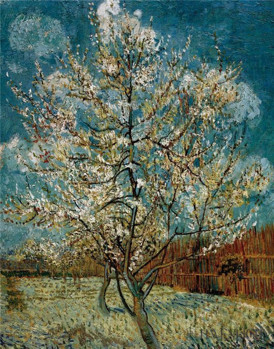 Peach Tree In Blossom Open Edition Print / 11 X 14 Only Art