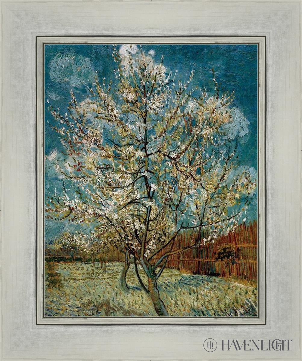 Peach Tree In Blossom Open Edition Print / 11 X 14 Silver 15 1/4 18 Art