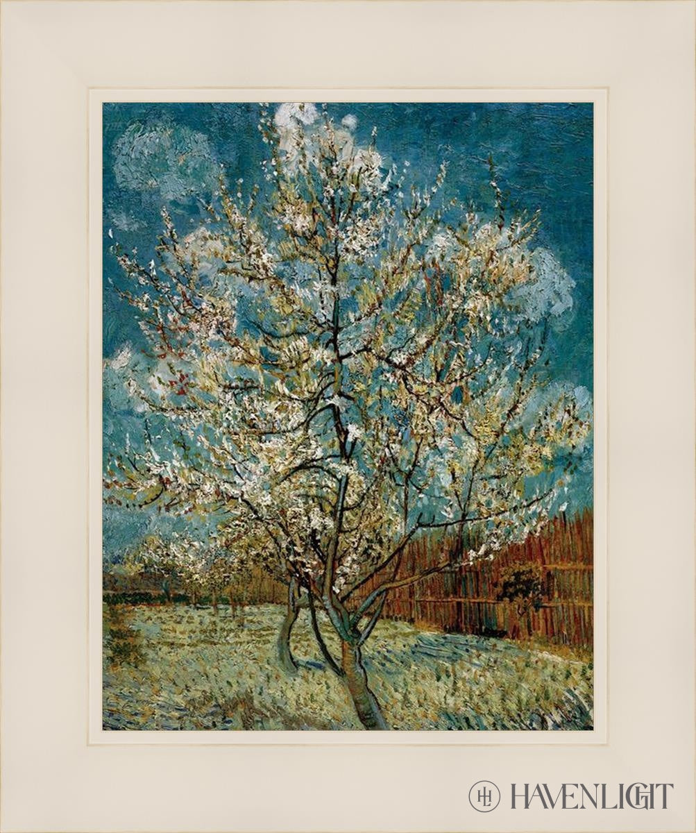 Peach Tree In Blossom Open Edition Print / 11 X 14 White 15 1/4 18 Art