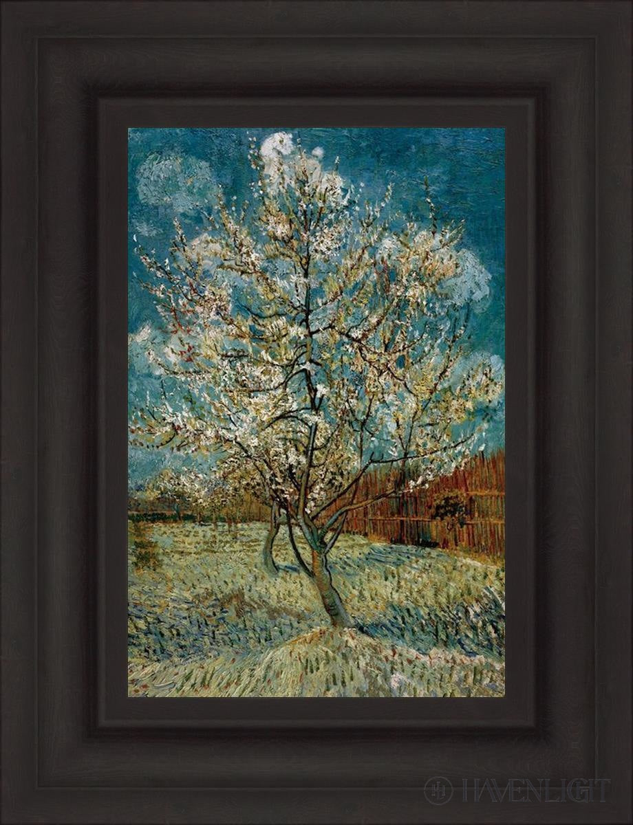 Peach Tree In Blossom Open Edition Print / 12 X 18 Brown 19 3/4 25 Art