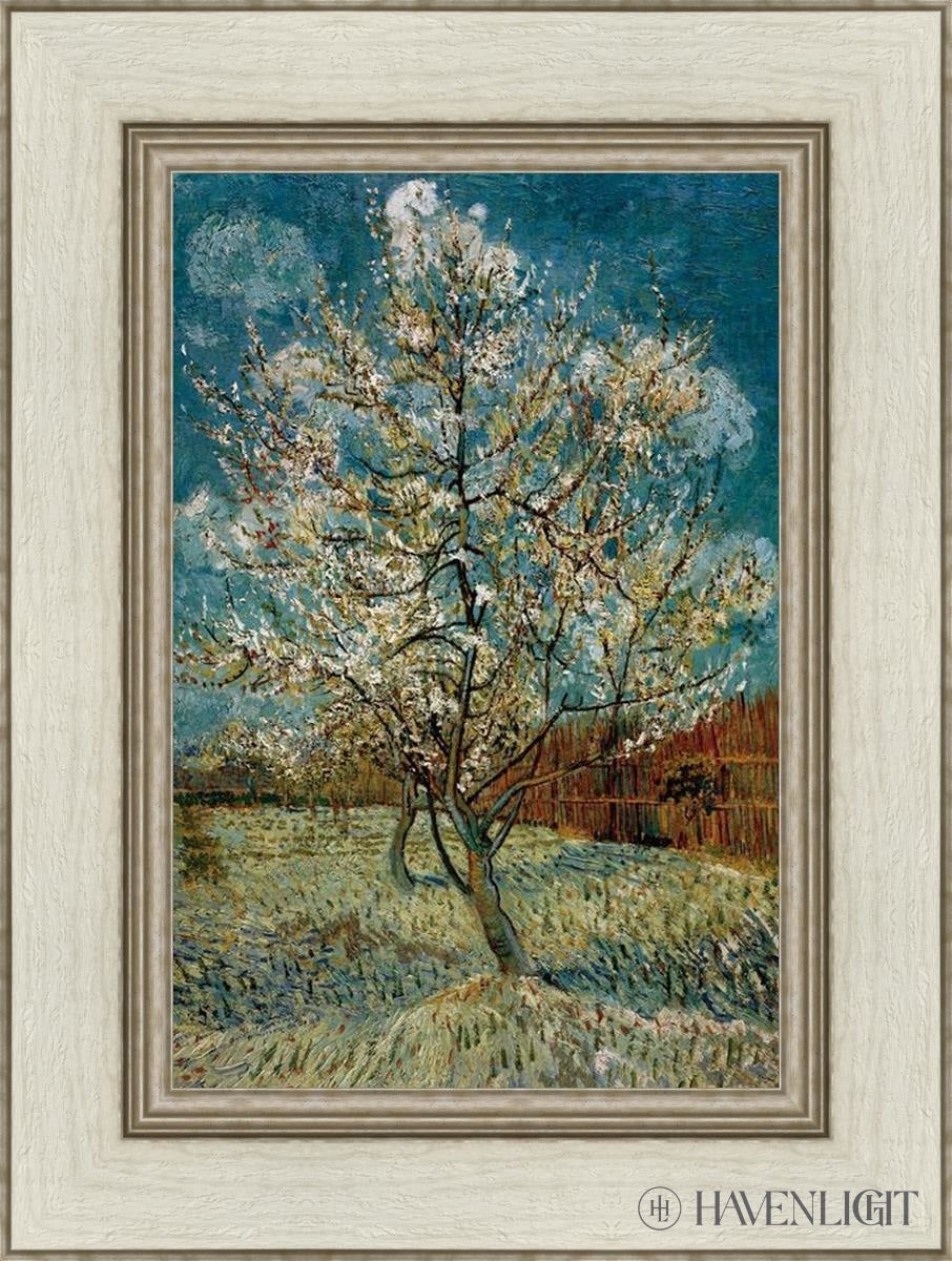 Peach Tree In Blossom Open Edition Print / 12 X 18 Ivory 1/2 24 Art