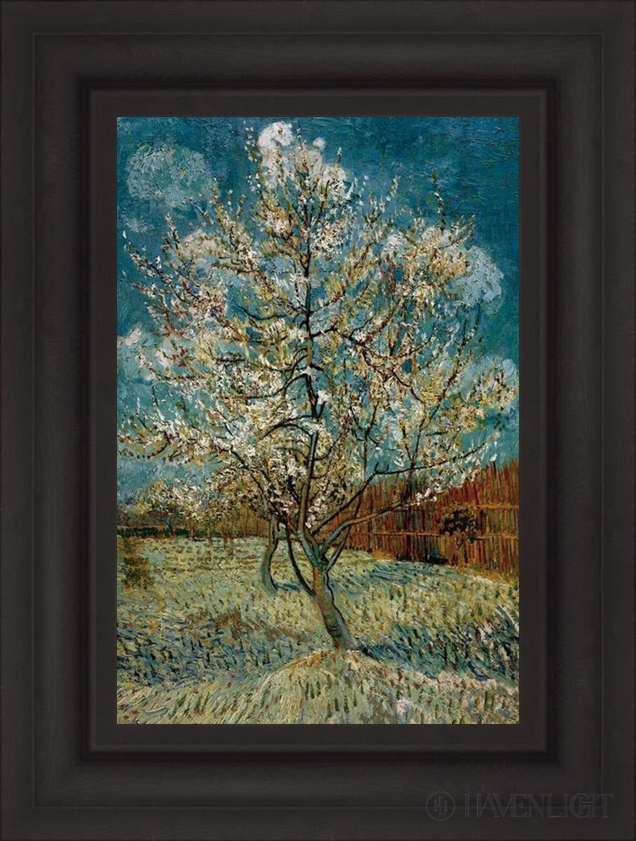 Peach Tree In Blossom Open Edition Print / 14 X 21 Brown 3/4 28 Art