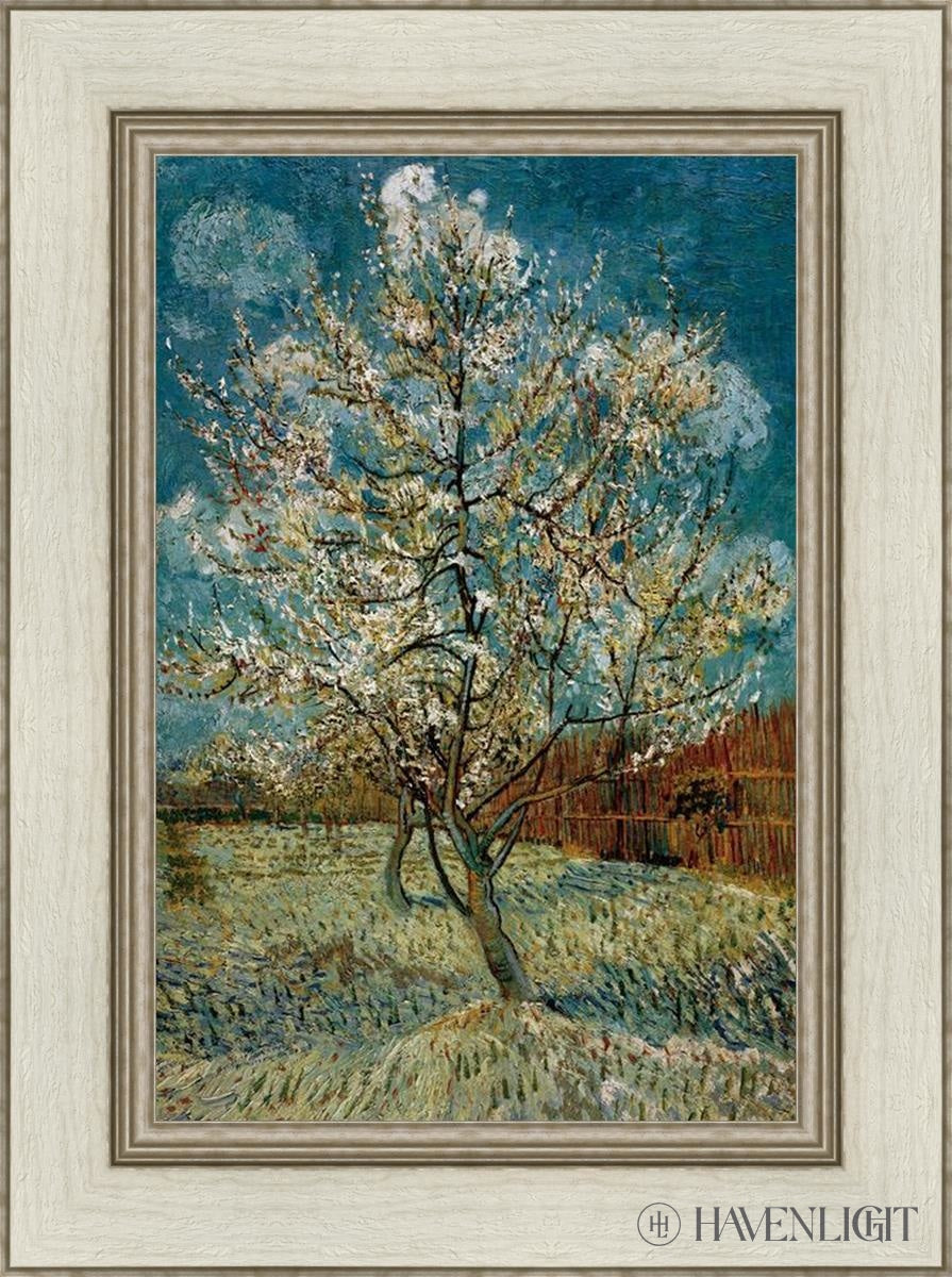 Peach Tree In Blossom Open Edition Print / 14 X 21 Ivory 20 1/2 27 Art