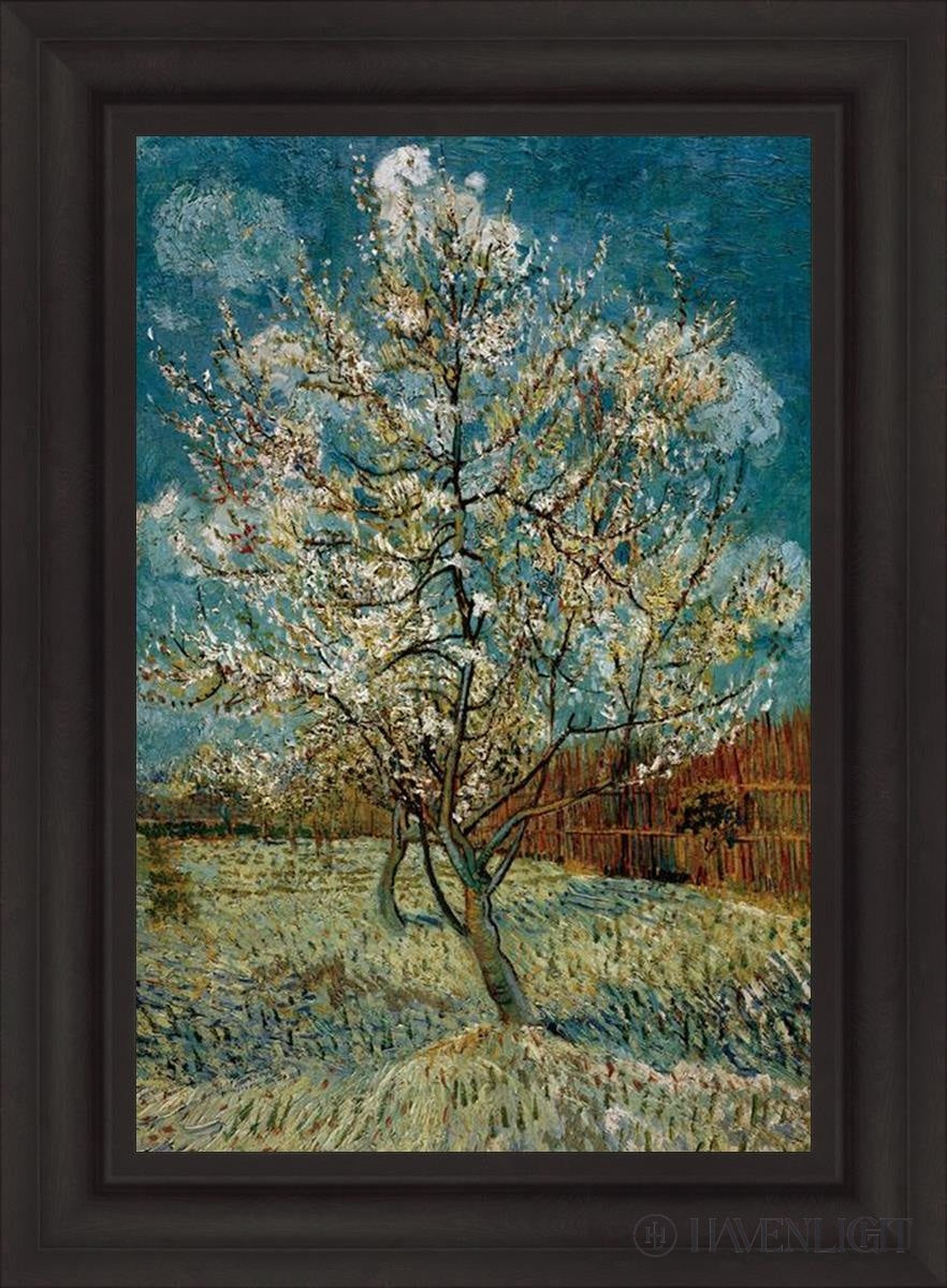 Peach Tree In Blossom Open Edition Print / 20 X 30 Brown 27 3/4 37 Art